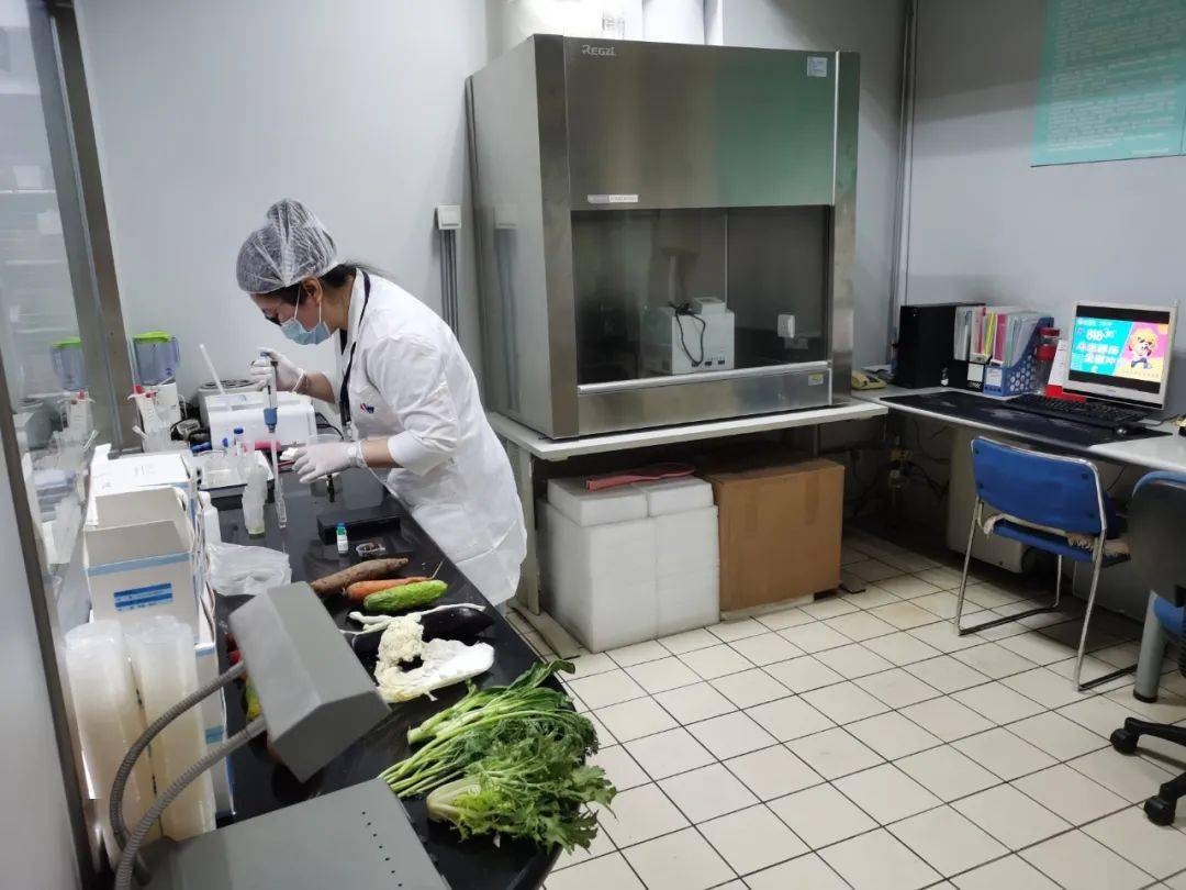 唐县食品检测实验室装修方案